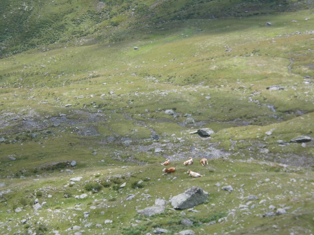 Obergarberhof Διαμέρισμα Sillian Δωμάτιο φωτογραφία