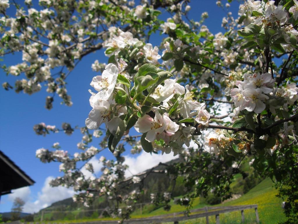 Obergarberhof Διαμέρισμα Sillian Εξωτερικό φωτογραφία